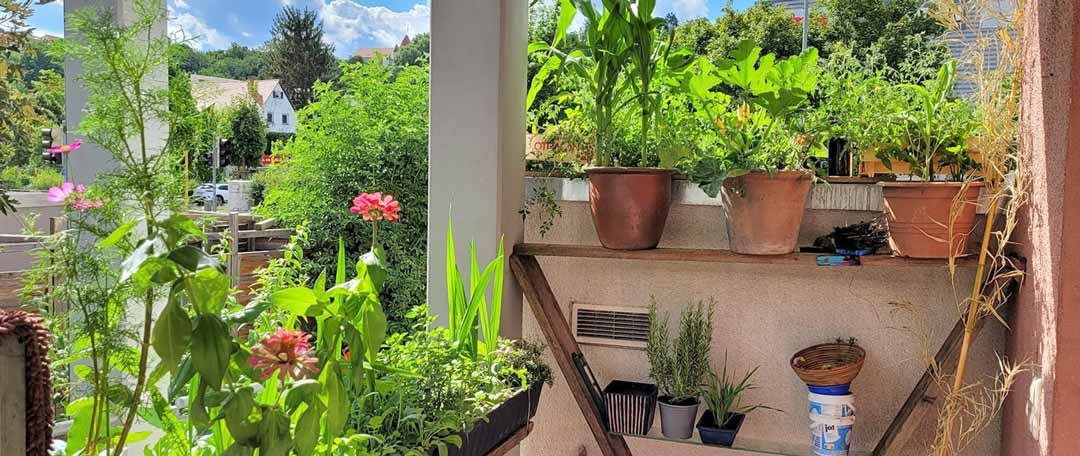 Balkon Tübingen Wohnungsnotfallhilfe